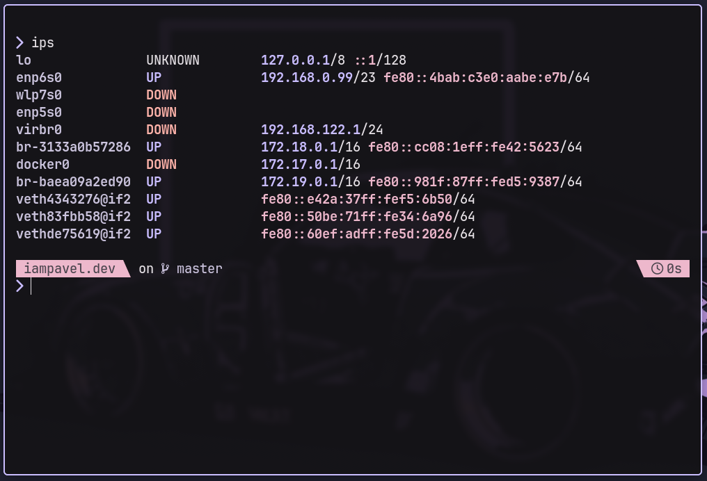 ip -br -c addr show output showing network interfaces with colored status
